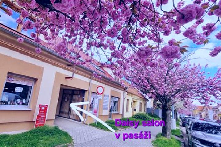 Sage, 27 — Escort in Koseca, Slovakia