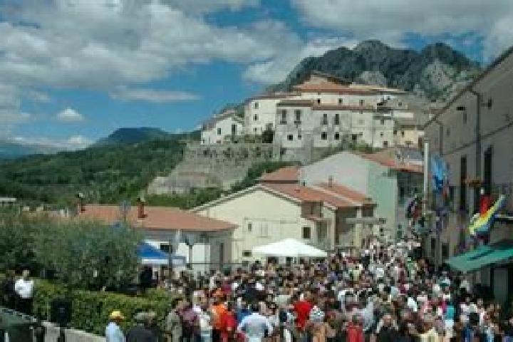 Sage, 27 — Escort in Scapoli, Italy