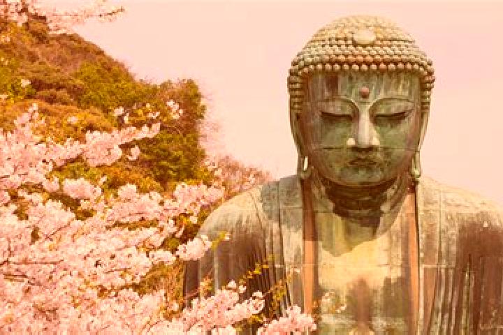 Sage, 29 — Escort in Omitama, Japan