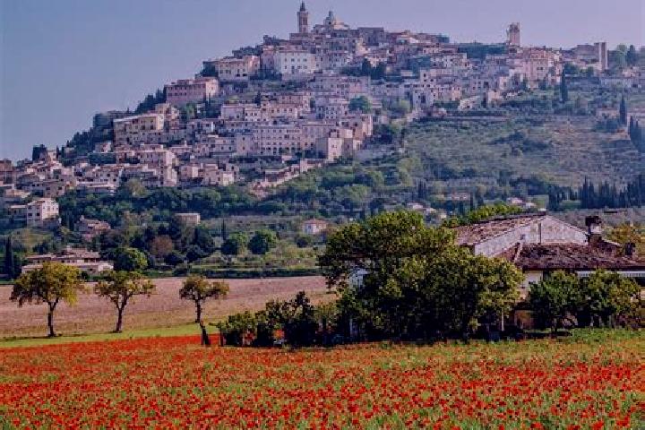 Sage, 29 — Escort in Tavernelle, Italy