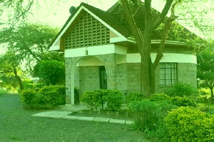 Sage, 30 — Escort in Mwingi, Kenya