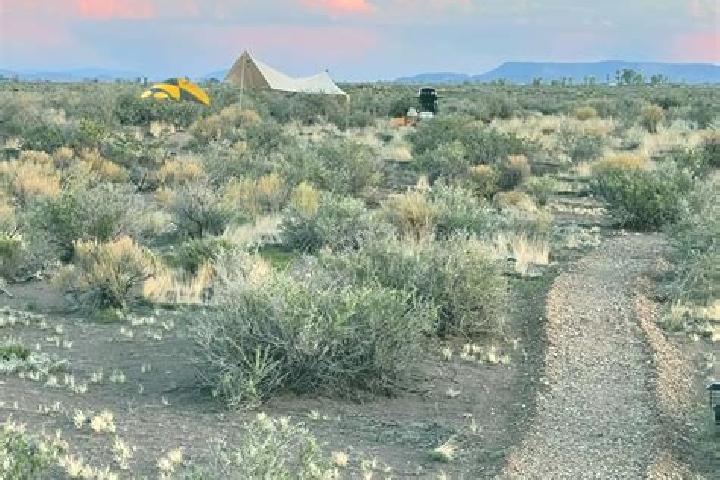 Sage, 31 — Escort in Alamosa East, United States