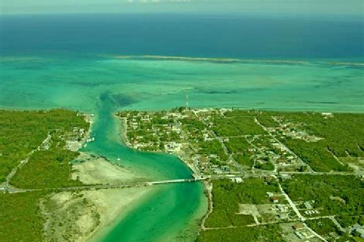 Sage, 31 — Escort in Andros Town, Bahamas