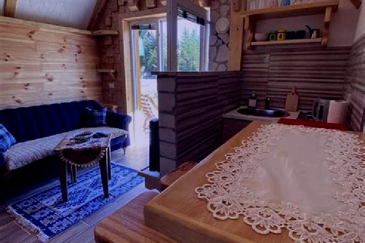 Sage, 31 — Escort in Gorki Slaskie, Poland