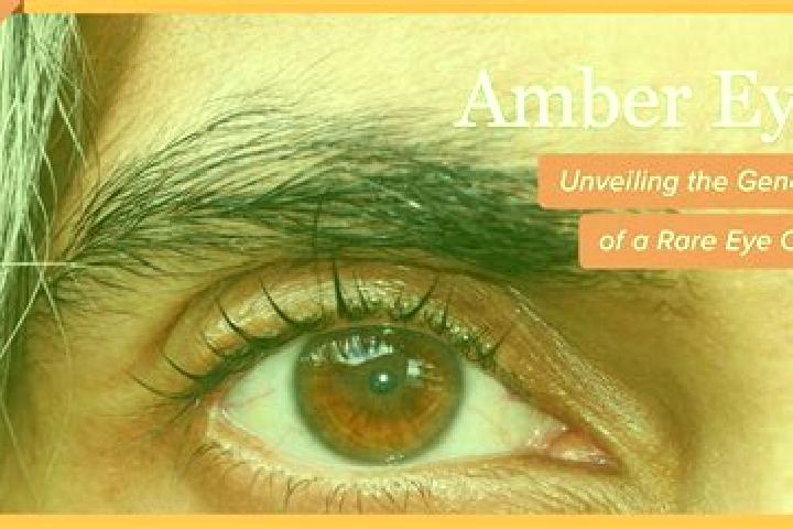 Sage, 32, a black amber-eyed mixed companion based in Oberpremstaetten. Offering Deep French Kissing, Tantra, CIM. Available for incall and outcall, day and ...