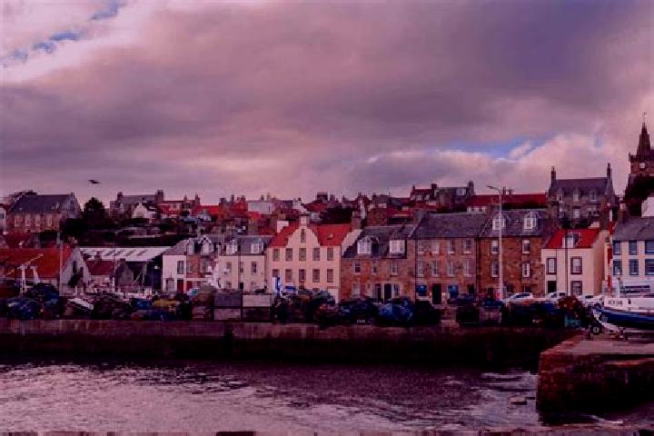 Sage, 32 — Escort in Pittenweem, United Kingdom