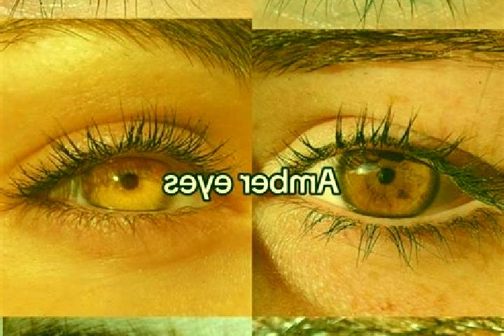 Sage, 33, a chestnut amber-eyed mixed companion based in Zesso. Offering Domination, Girlfriend Experience. Available for incall and outcall, overnight booki...
