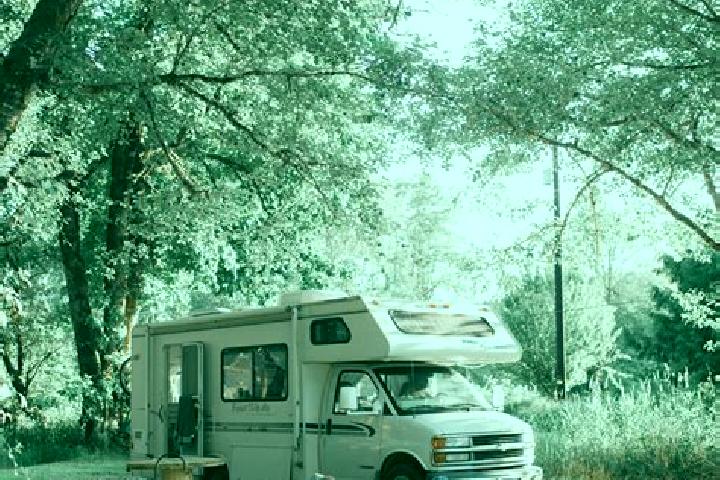 Sage, 33 — Escort in Dash Point, United States