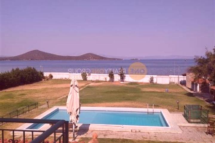 Sage, 33 — Escort in Livanates, Greece