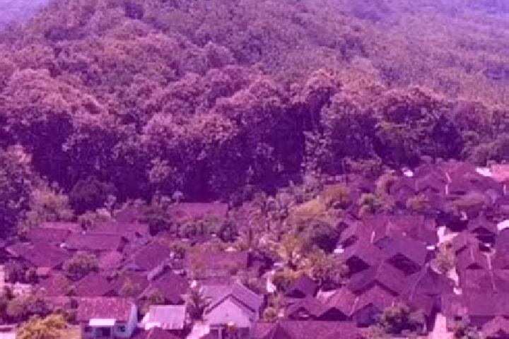 Sage, 33 — Escort in Malangbong, Indonesia