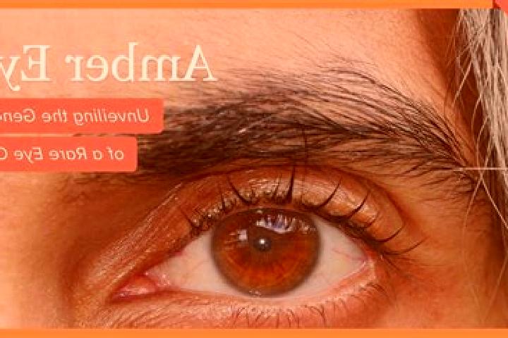 Sage, 35, a red amber-eyed asian companion based in Amendingen. Offering 69, GFE, CIM, Couples. Available for incall and outcall, overnight bookings available.