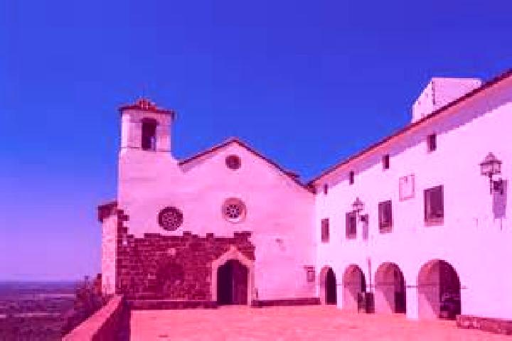 Sage, 35 — Escort in Mont-roig del Camp, Spain