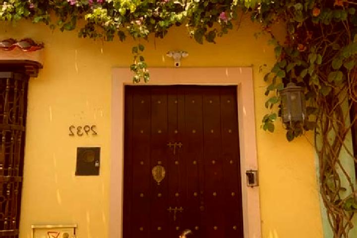 Sage, 35 — Escort in Pozolapan (Cartagena), Mexico