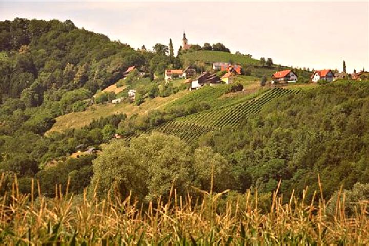 Sage, 35 — Escort in Rabenwald, Austria