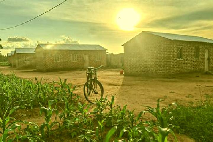 Sage, 36 — Escort in Mbumi, Tanzania