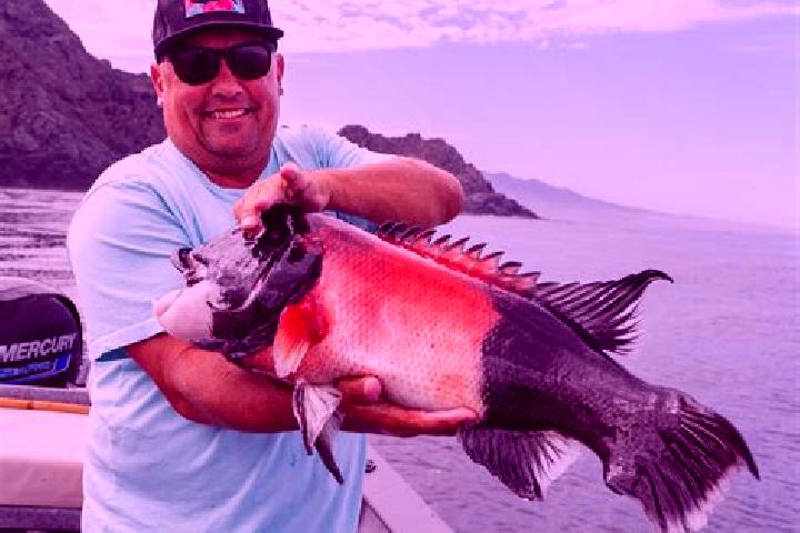 Sage, 37 — Escort in Isla Cedros, Mexico