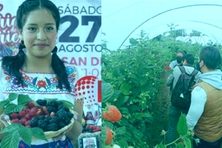 Sage, 38 — Escort in Ejido Hueytamalco, Mexico