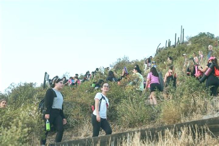 Sage, 39 — Escort in Cerro Agudo, Mexico