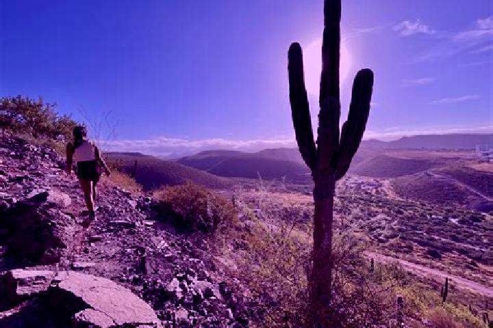 Sage, 39 — Escort in Cerro de la Palma, Mexico