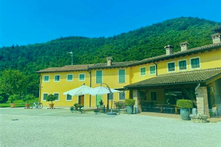 Sage, 39 — Escort in Ronchis, Italy