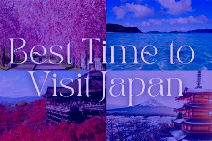 Scarlett, 20 — Escort in Fujishiro, Japan