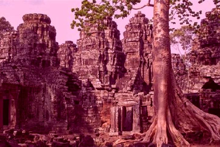Scarlett, 22 — Escort in Banteay Meas, Cambodia
