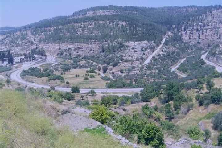 Scarlett, 22 — Escort in Battir, Palestine