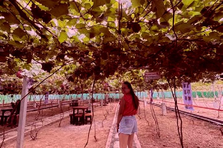 Scarlett, 22 — Escort in Laguitas, Philippines