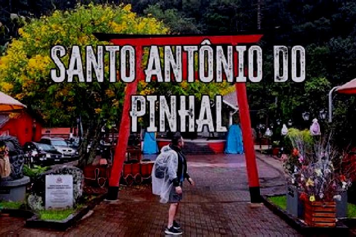 Scarlett, 22 — Escort in Santo Antonio do Pinhal, Brazil