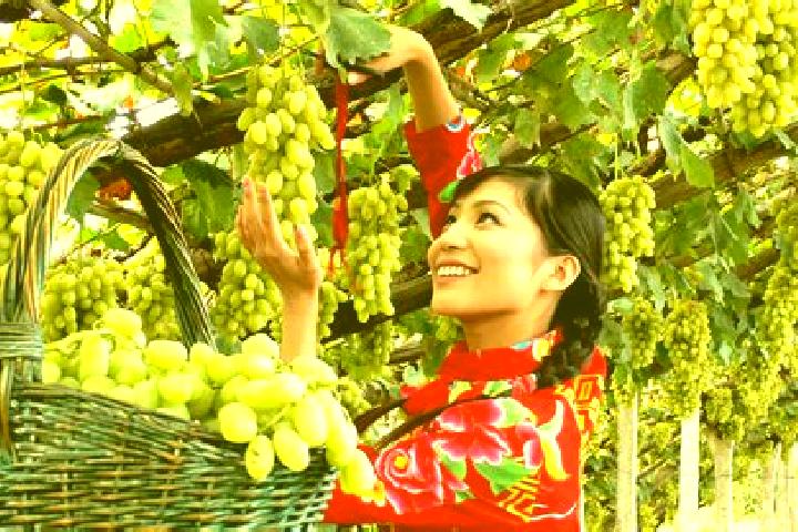 Scarlett, 22 — Escort in Xuanhua, China