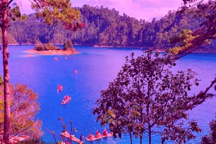 Scarlett, 23 — Escort in Laguna del Cofre, Mexico