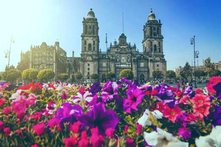 Scarlett, 25 — Escort in Ciudad Maya, Mexico