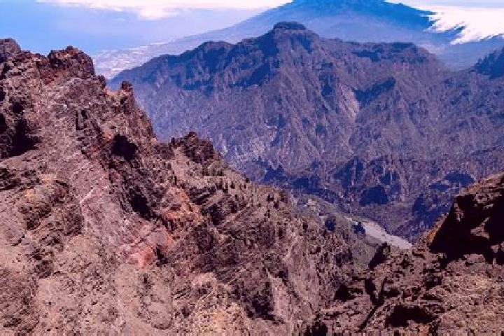Scarlett, 26 — Escort in La Palma de Emenguaro, Mexico
