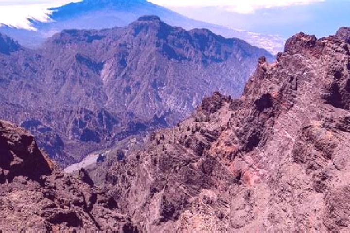 Scarlett, 26 — Escort in La Palma Uno, Mexico