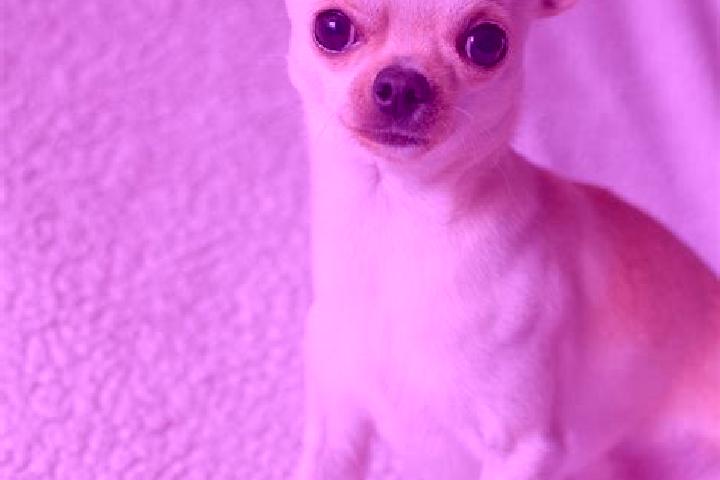 Scarlett, 27 — Escort in Uaua, Brazil