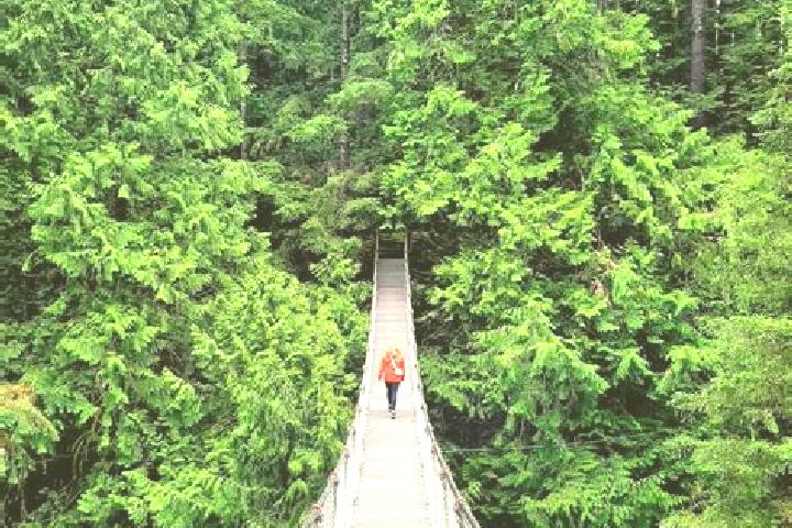 Scarlett, 29 — Escort in Lynn Canyon, Canada