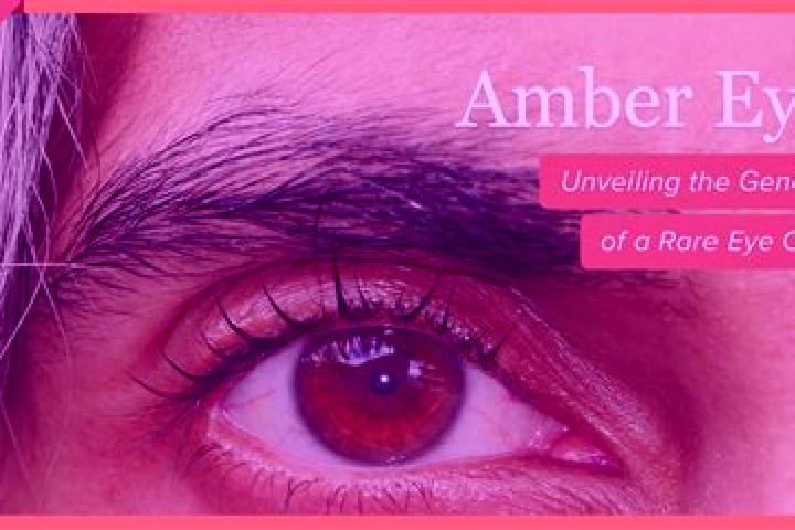 Scarlett, 30, a red amber-eyed caribbean companion based in Rietz. Offering A-Level, Dinner Date. Available for incall and outcall, overnight bookings availa...