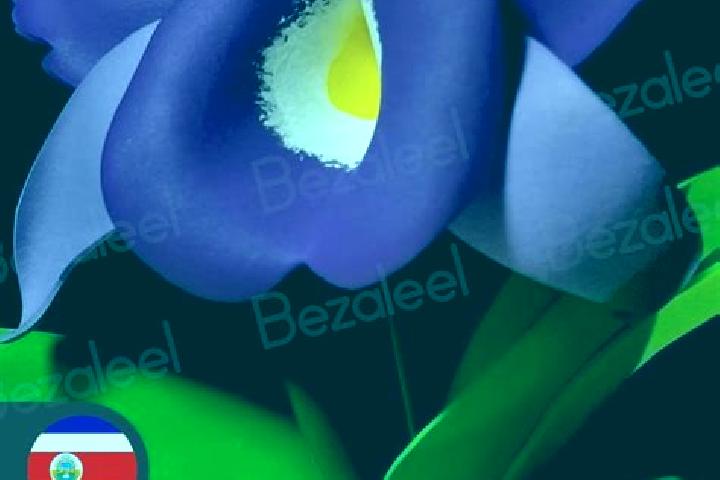 Scarlett, 30 — Escort in Rosa Morada, Mexico