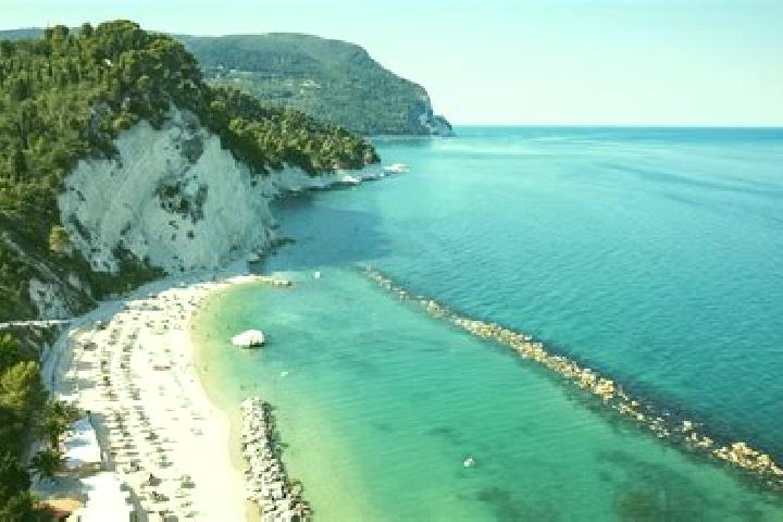 Scarlett, 32, a blonde hazel-eyed mixed companion based in Marina di Montemarciano. Offering Couples, Girlfriend Experience, Prostate Massage, 69. Available ...