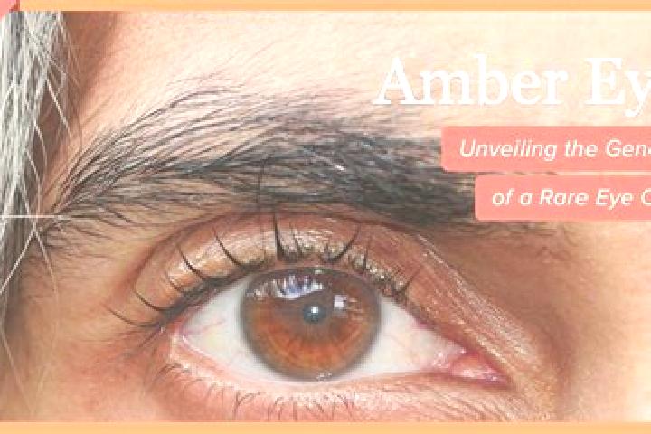 Scarlett, 32, a red amber-eyed caucasian companion based in Jam. Offering Massage, GFE, Couples. Available for incall and outcall, day and evening dates.