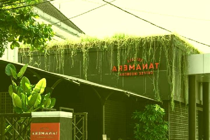 Scarlett, 33 — Escort in Tanamera, Indonesia