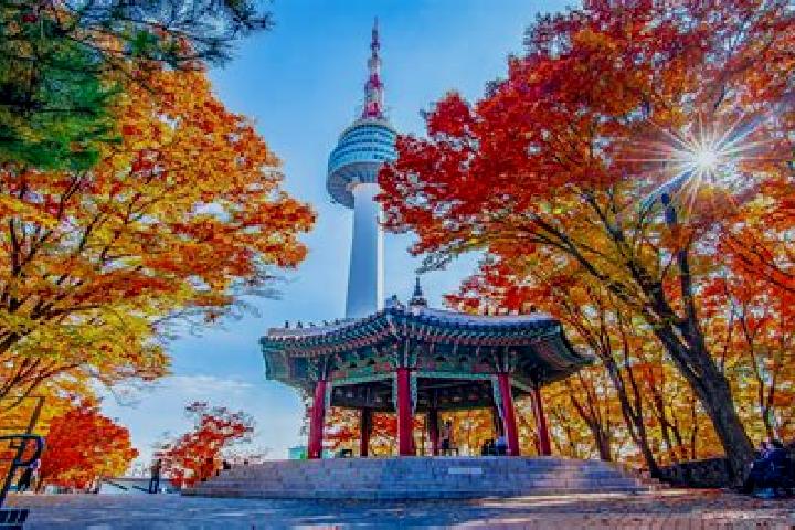 Scarlett, 34 — Escort in Hwanggan, South Korea