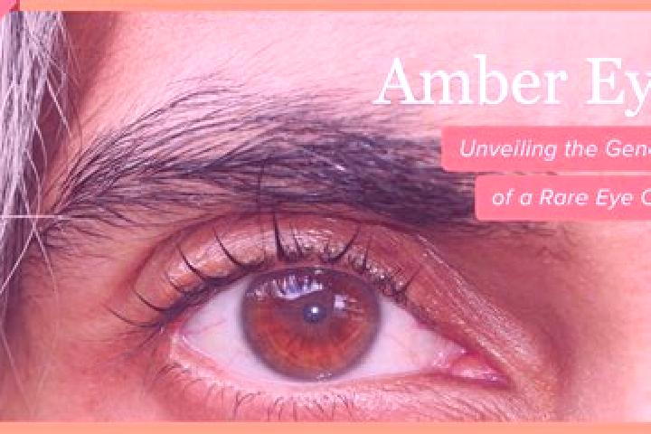 Scarlett, 35, a red amber-eyed caucasian companion based in Hebao. Offering Party Girl, Domination, BDSM. Available for incall and outcall, day and evening d...