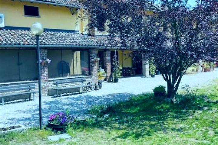 Scarlett, 35 — Escort in Velezzo Lomellina, Italy