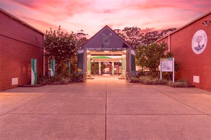 Scarlett, 36 — Escort in Alstonville, Australia