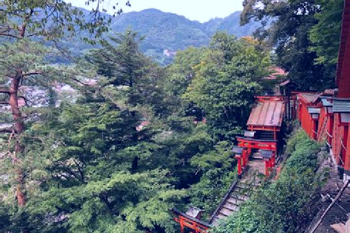 Scarlett, 38 — Escort in Yakumo, Japan