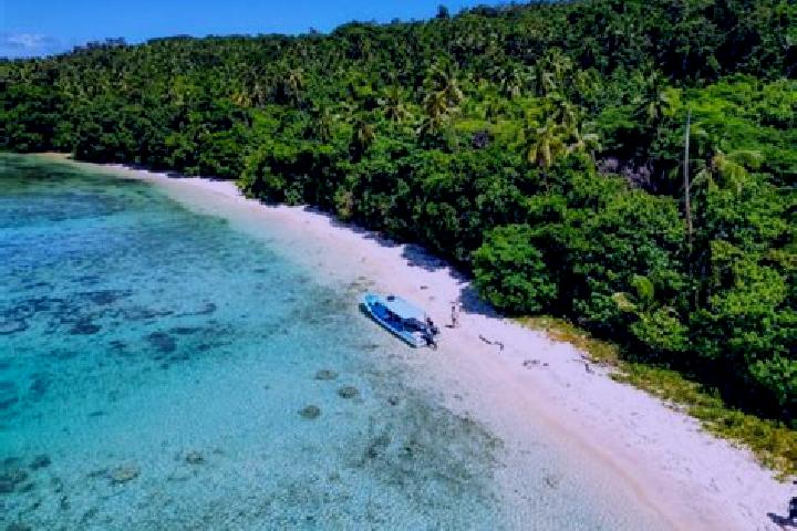 Scarlett, 39 — Escort in Neiafu, Tonga