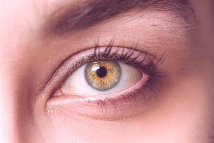 Sienna, 21, a chestnut hazel-eyed mixed companion based in Buhonca. Offering BDSM, GFE, Striptease, Prostate Massage. Available for incall and outcall, day a...