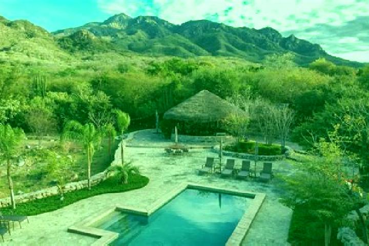 Sienna, 22, a blonde brown-eyed caribbean companion based in El Pedregal de Guadalupe Hidalgo. Offering Roleplay, Fetish. Available for incall and outcall, o...