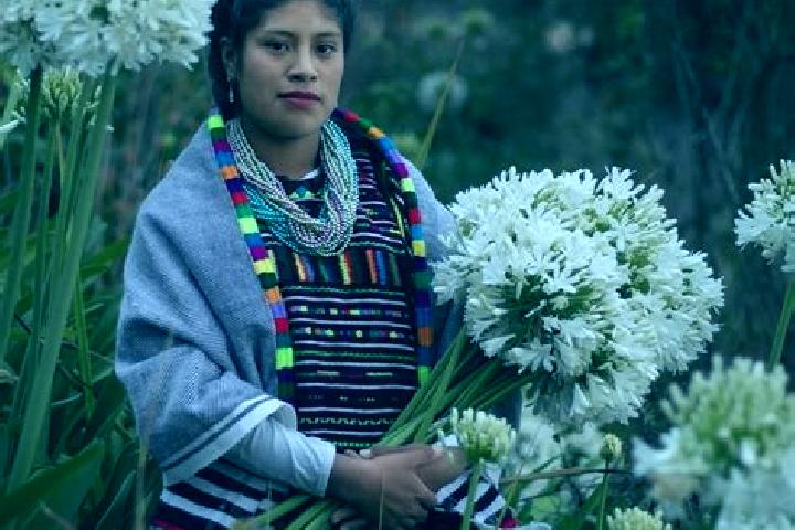 Sienna, 23 — Escort in San Jose Xochixtlan, Mexico